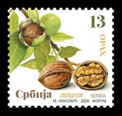 2026 Сербия 1359 Стандарт. Флора. Грецкий орех