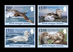 2025 БАТ 945-948 Фауна. Птицы. Южные гигантские буревестники