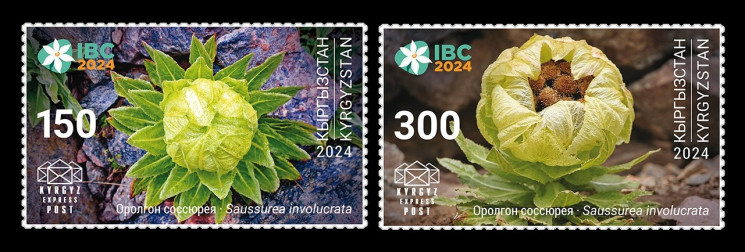 2025 Кыргызстан (KEP) 232-233 Ботанический конгресс в Мадриде. Флора. Цветы. Соссюреи (горькуши)