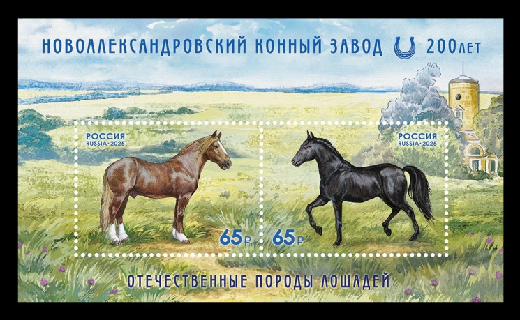 2025 Россия 3463-3464 Фауна. Лошади Новоалександровского конного завода
