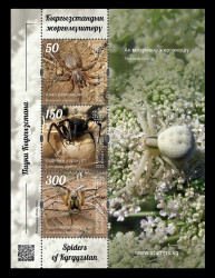 2025 Кыргызстан (KEP) 259-261 Фауна. Пауки. Равениоля. Каракурт. Тарантул (блок)