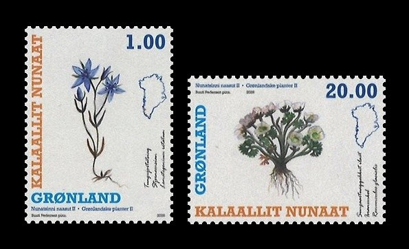 2026 Гренландия 1034-1035 Флора. Гренландские растения (II). Ломатогониум и беквичия