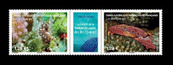 2025 ТААФ 1261-1262 Фауна. Подводное биоразнообразие