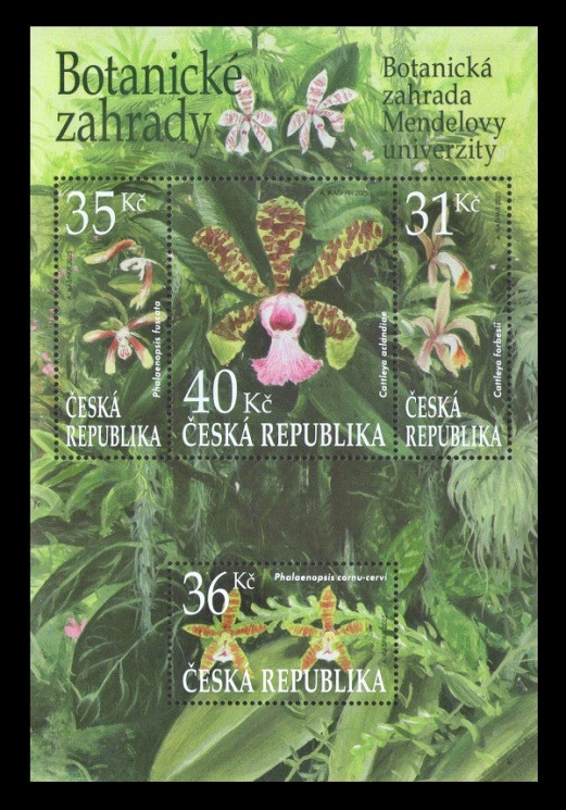 2025 Чехия 1307-1310 Флора. Цветы. Орхидеи Ботанического сада и дендрария Брно