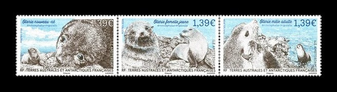 2026 ТААФ 1291-1293 Фауна. Субтропические морские котики