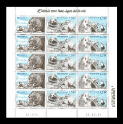 2026 ТААФ 1291-1293 Фауна. Субтропические морские котики (МЛ)