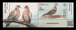 2026 Кыргызстан (KEP) 276 Фауна. Птица года. Горлица (с купоном)