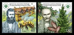 2025 Сербия 1299-1300 Охрана природы. Фауна и флора. Пчеловодство в Сербии и сербская ель