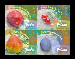 2025 Польша 5619-5622 Флора. Садовые фрукты и ягоды. Яблоко. Вишня. Груша. Слива