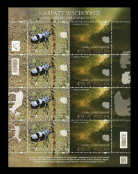 2025 Польша 5623-5624 Восточные Карпаты. Фауна. Жук-усач. Горный хребет Бещады (МЛ)