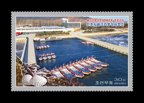 2025 КНДР 7162 Рыбоводческое хозяйство марикультуры Синпхо. Лодки. Моллюски