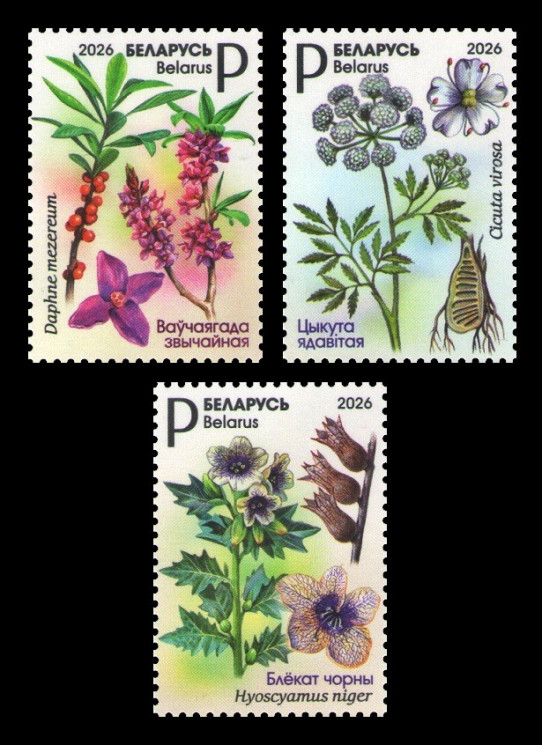 2026 Беларусь 1647-1649 Флора. Ядовитые растения. Волчеягодник. Ядовитый вёх. Чёрная белена