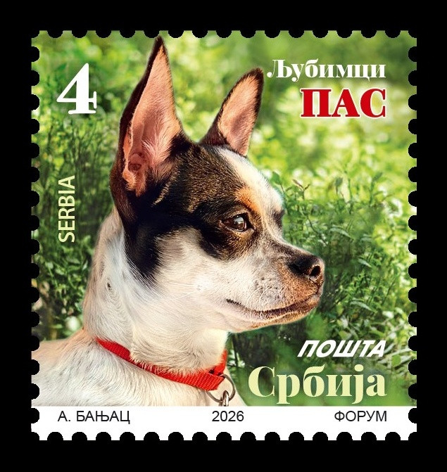 2026 Сербия 1355 Стандарт. Фауна. Домашние любимцы. Собака