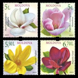 2025 Молдова 1350-1353 Флора. Цветы. Магнолии