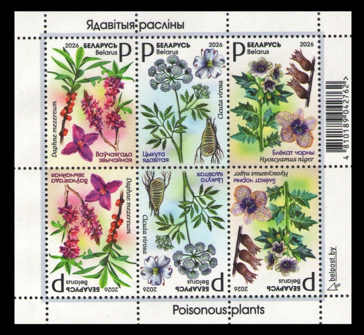2026 Беларусь 1647-1649 Флора. Ядовитые растения. Волчеягодник. Ядовитый вёх. Чёрная белена (блок)