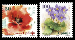 2026 Сербия 1360-1361 Стандарт. Флора. Мак и рамонда