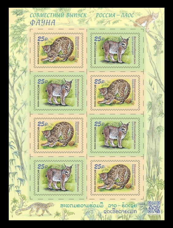 2025 Россия 3508-3509 Фауна. Дикие кошки. Мраморная кошка и восточносибирская рысь (МЛ) (Россия-Лаос)