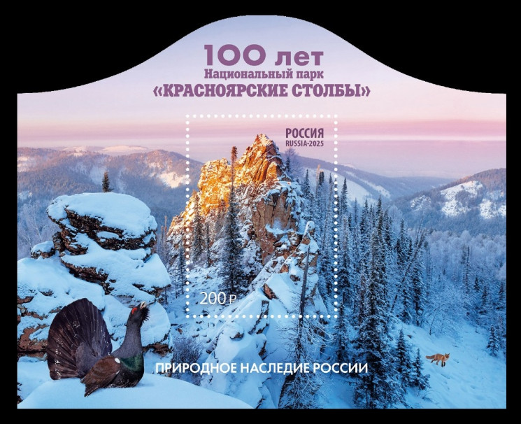 2025 Россия 3443 Национальный парк Красноярские Столбы. Фауна. Глухарь. Лисица
