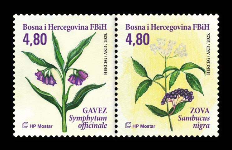2025 Босния и Герцеговина (хорват.) 685-686 Лекарственные растения. Окопник и чёрная бузина