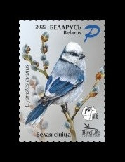 2022 Беларусь 1441 Фауна. Птица года. Белая лазоревка