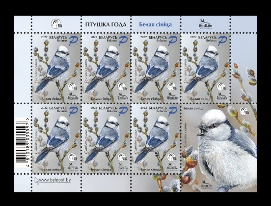 2022 Беларусь 1441 Фауна. Птица года. Белая лазоревка (МЛ)